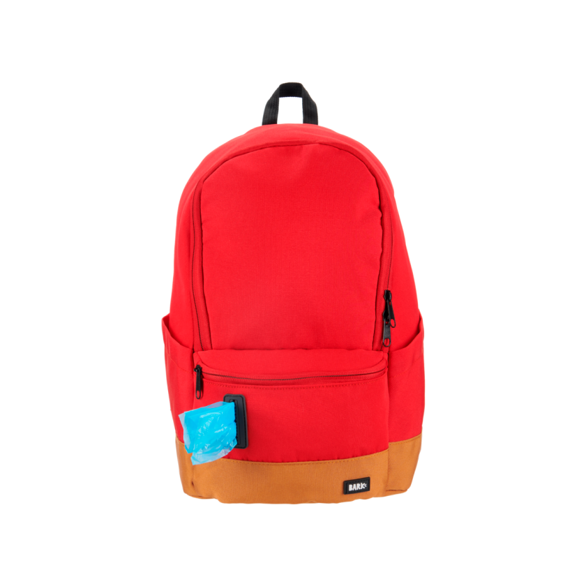 Back to School Backpack